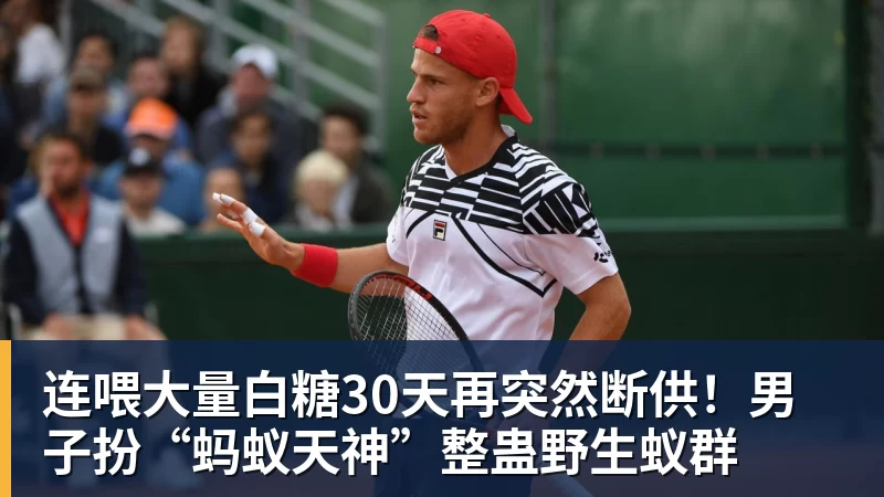 连喂大量白糖30天再突然断供！男子扮“蚂蚁天神”整蛊野生蚁群